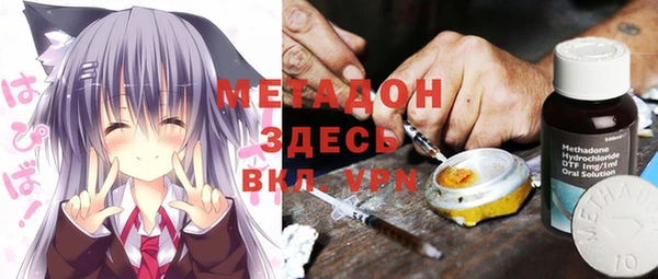 гидра Алексеевка